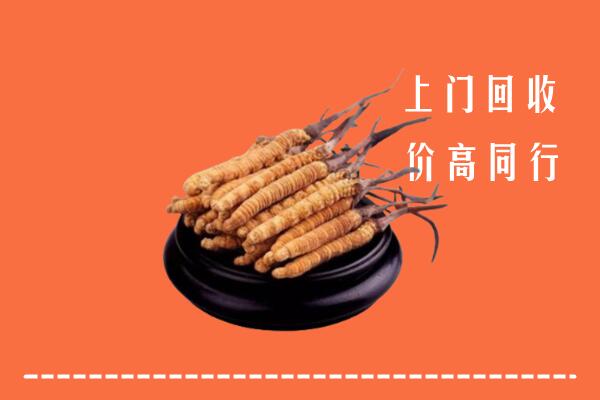 高价求购：淮南市谢家集回收散虫草