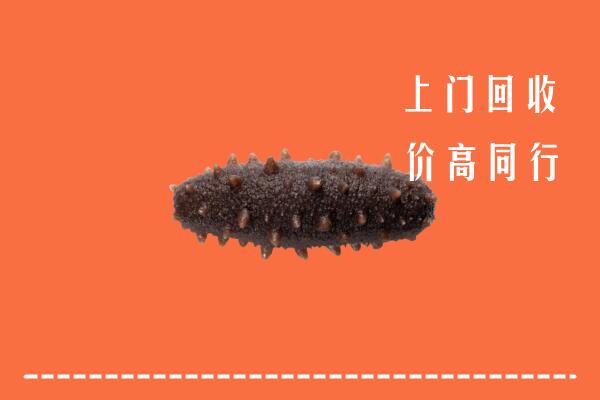 淮南市谢家集回收海参