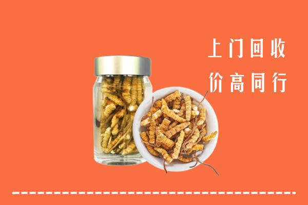 淮南市谢家集回收冬虫夏草